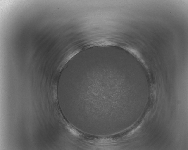 X0000067500889200604150105