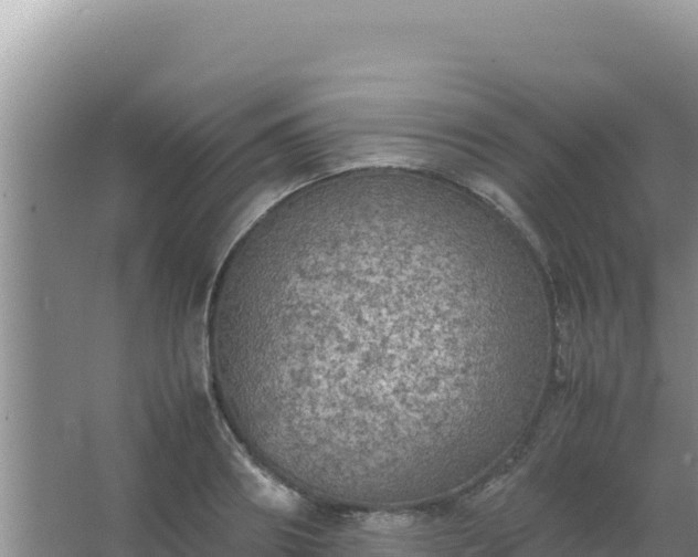 X0000067500890200604150105