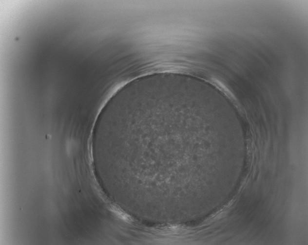 X0000067500891200604150105