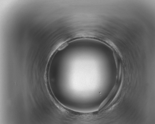 X0000067500893200604150104