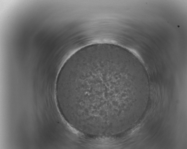 X0000067500895200604150104