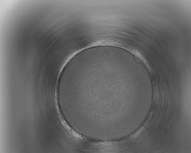 X0000067500896200604150104