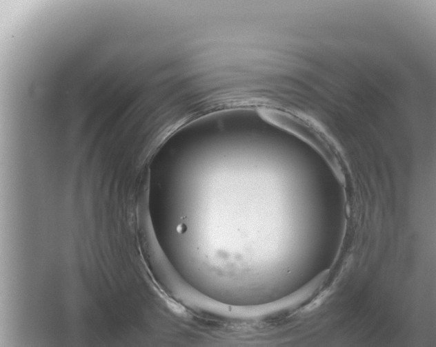 X0000067500897200604150104