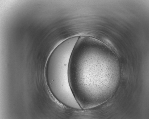 X0000067500900200604150104