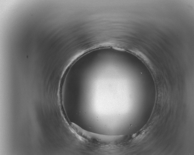 X0000067500902200604150104