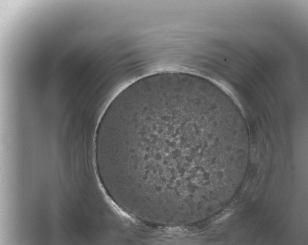 X0000067500903200604150104