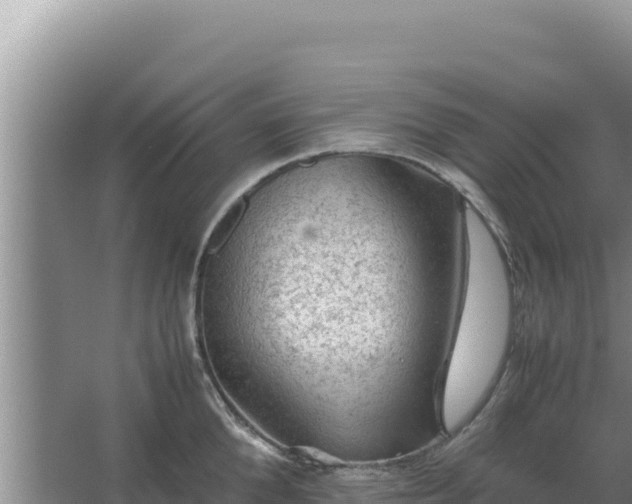 X0000067500904200604150104