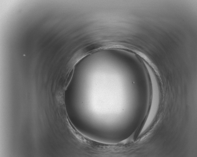 X0000067500905200604150104