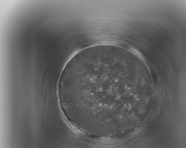 X0000067500907200604150104