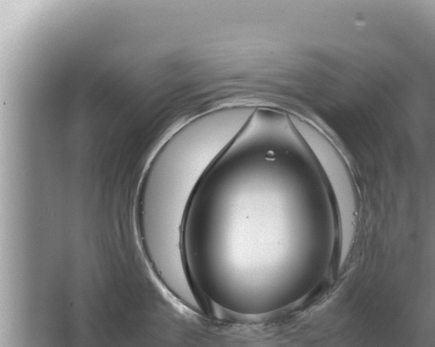 X0000067500909200604150104