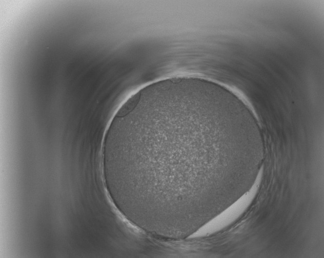 X0000067500911200604150104