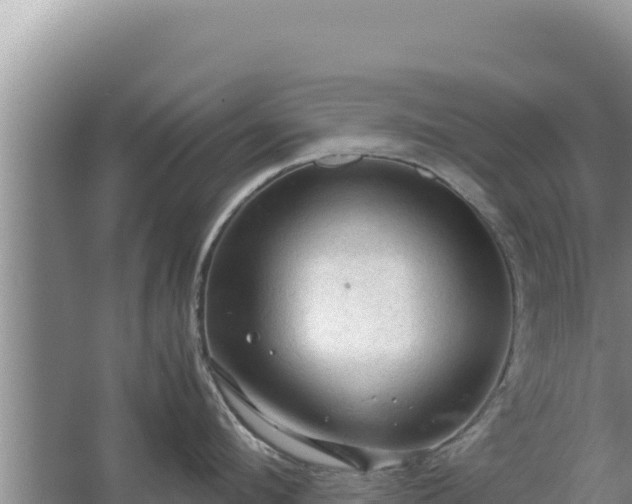 X0000067500912200604150104