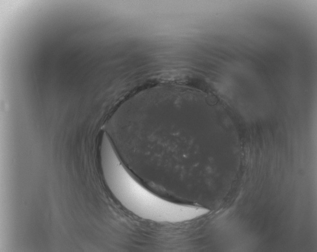 X0000067500913200604150103