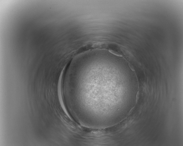 X0000067500914200604150103