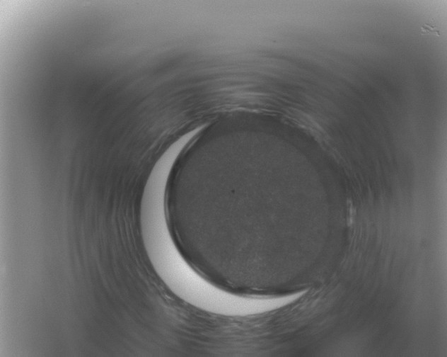 X0000067500915200604150103