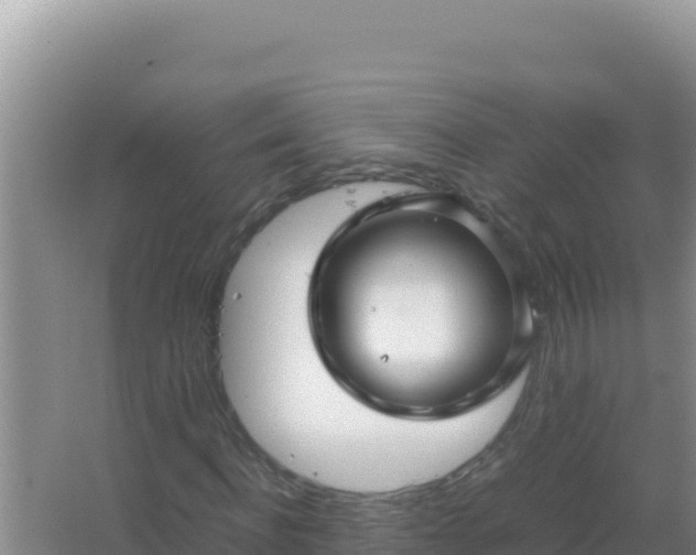 X0000067500916200604150103