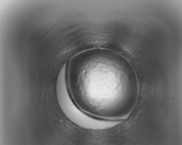 X0000067500917200604150103