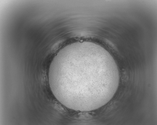 X0000067500918200604150103