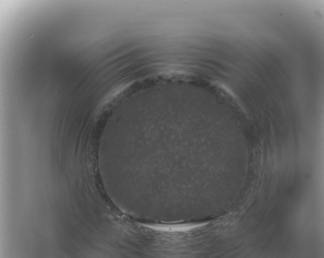 X0000067500919200604150103