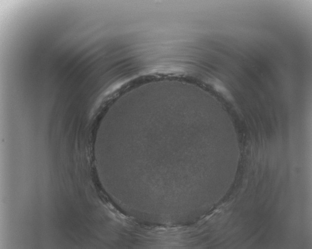 X0000067500920200604150103