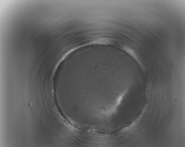 X0000067500923200604150104