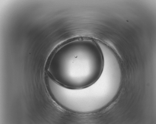 X0000067500924200604150104