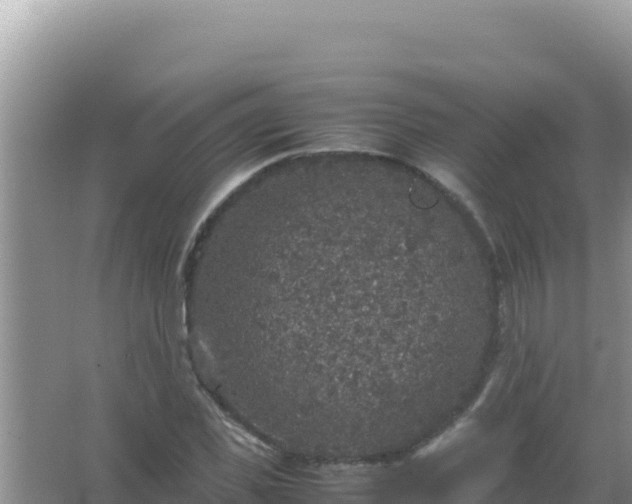 X0000067500925200604150104