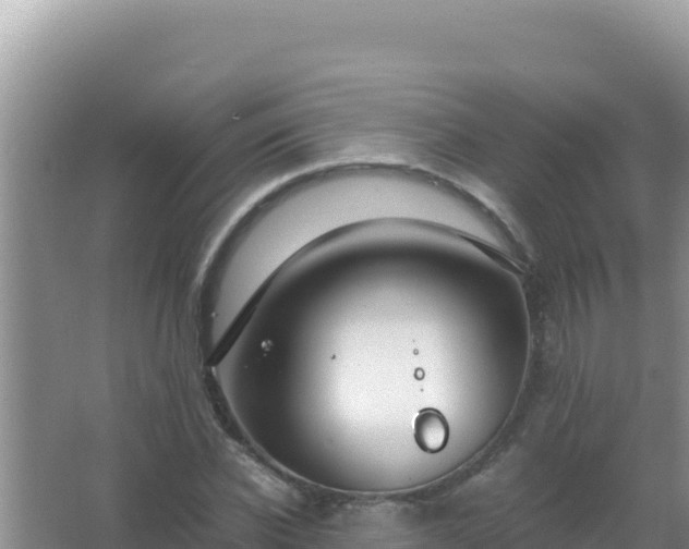 X0000067500926200604150104