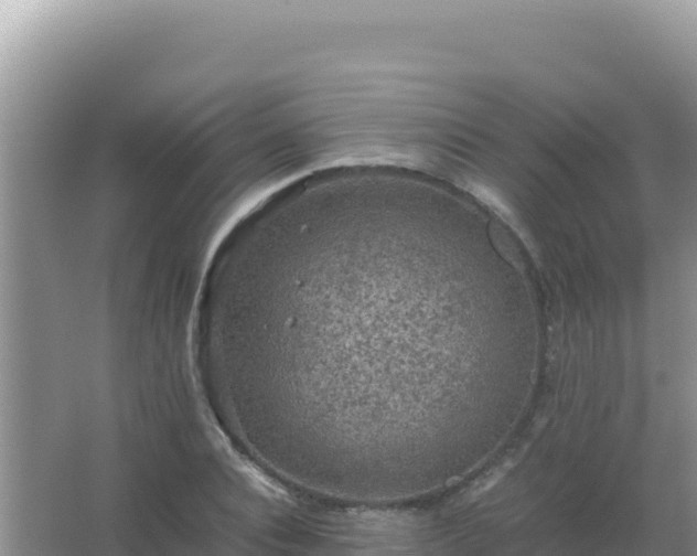 X0000067500928200604150104