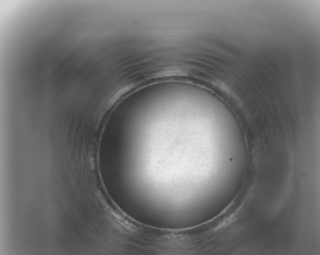 X0000067500929200604150104