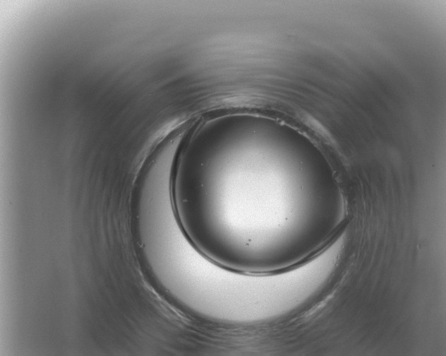 X0000067500930200604150104