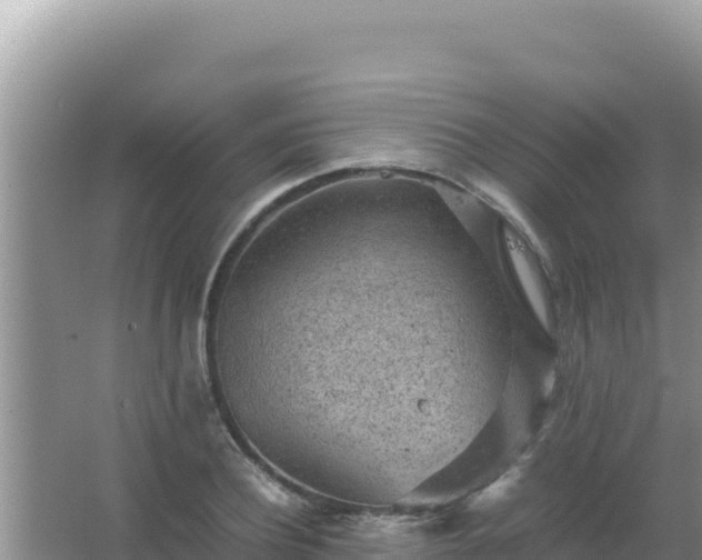 X0000067500932200604150104