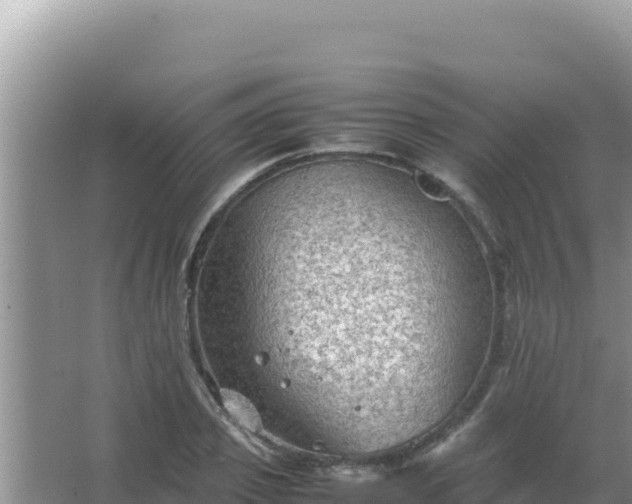 X0000067500933200604150104