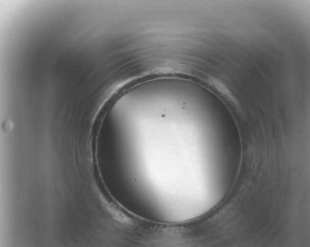 X0000067500934200604150104