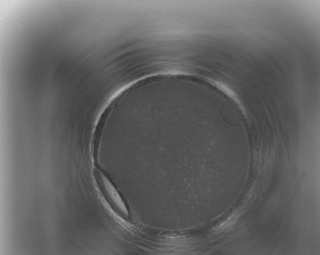 X0000067500935200604150104