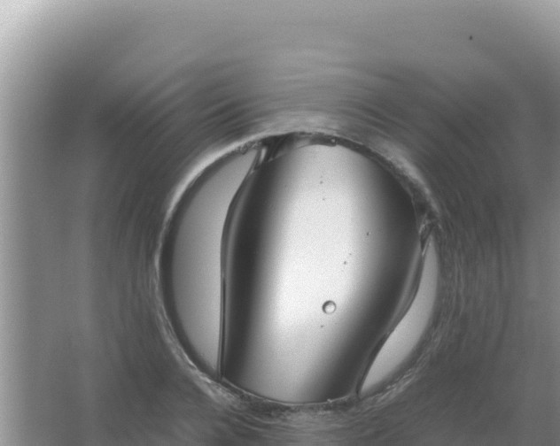 X0000067500936200604150104