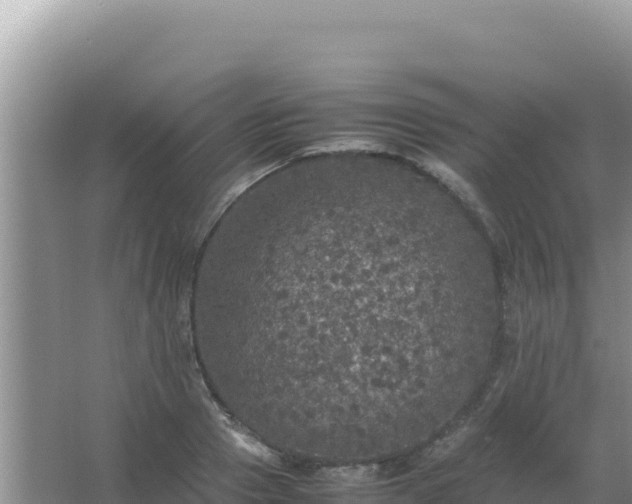 X0000067500937200604150104