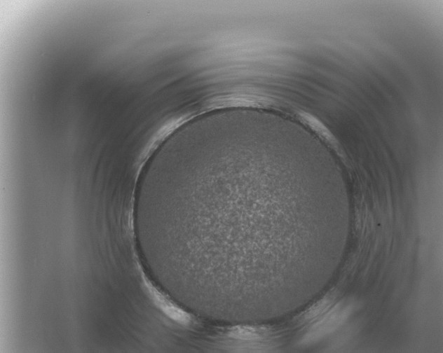 X0000067500938200604150104