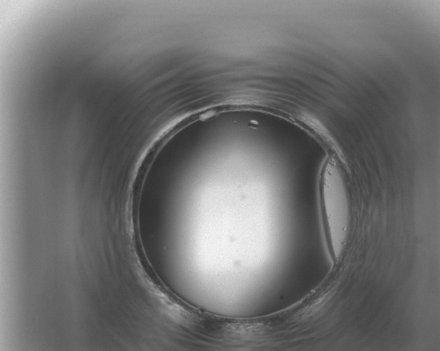 X0000067500939200604150104