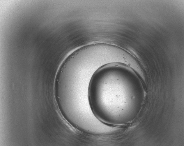 X0000067500940200604150104