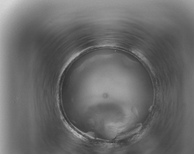 X0000067500941200604150104