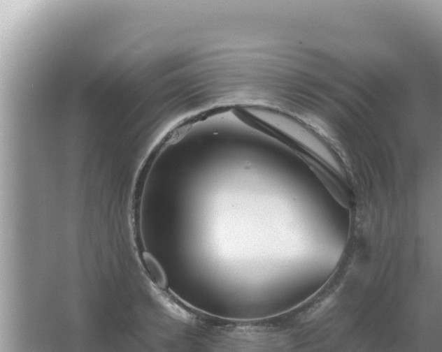 X0000067500942200604150104