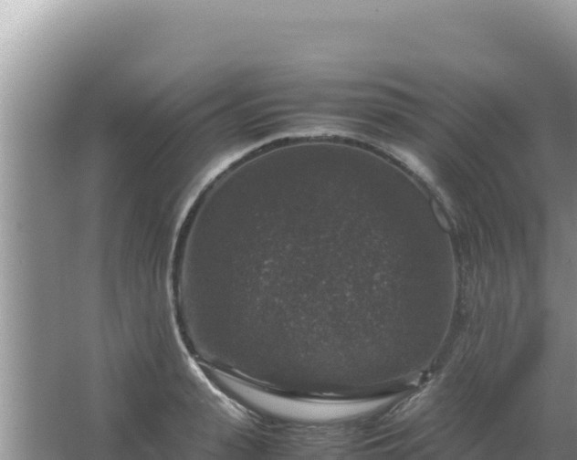 X0000067500943200604150104