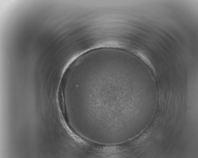 X0000067500944200604150104