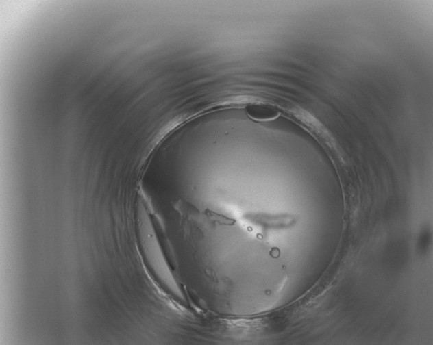 X0000067500945200604150104