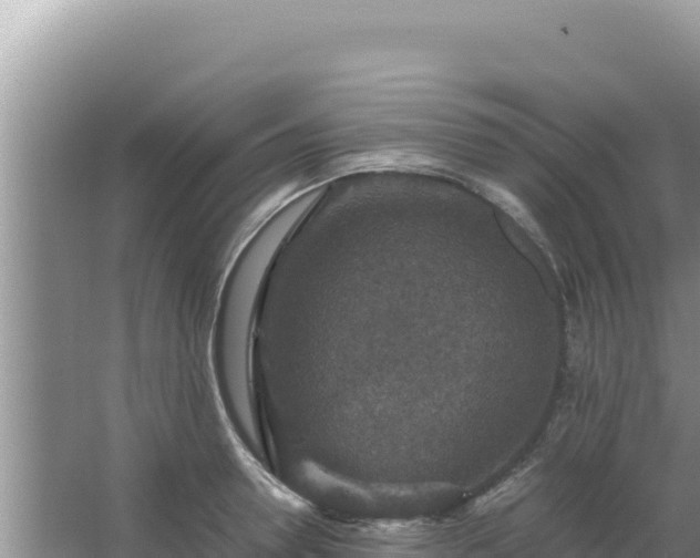 X0000067500946200604150104