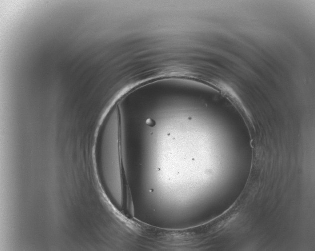 X0000067500947200604150104