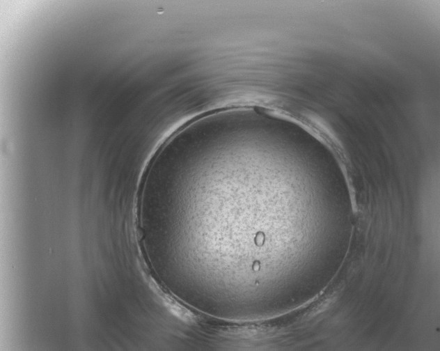 X0000067500948200604150104