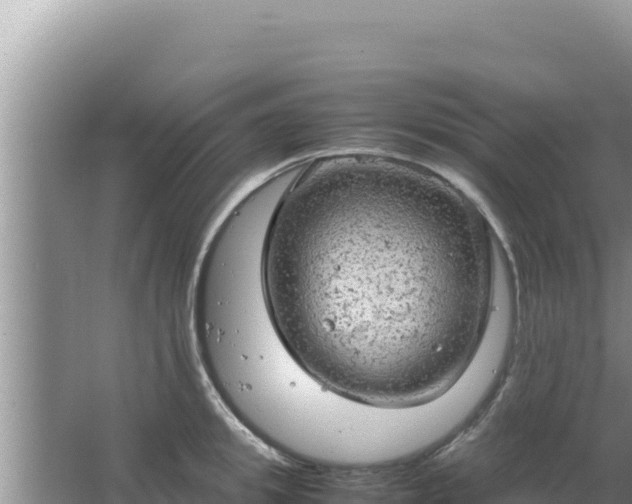 X0000067500949200604150104