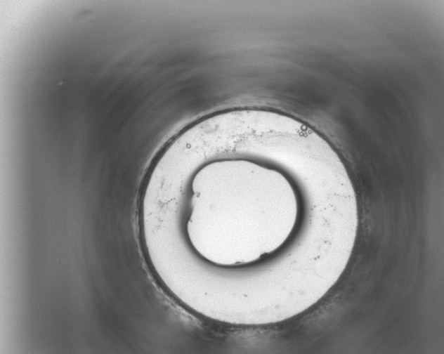 X0000067500950200604150104